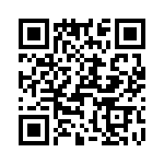 T38125-10-0 QRCode