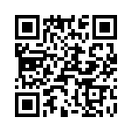 T38132-01-0 QRCode