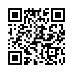 T38132-11-0 QRCode