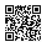 T38132-17-0 QRCode