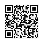 T38132-21-0 QRCode