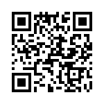 T38132-23-0 QRCode