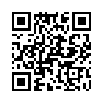 T38138-09-0 QRCode