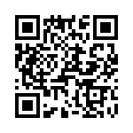 T38138-10-0 QRCode