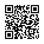 T38145-01-0 QRCode