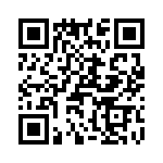 T38160-08-0 QRCode