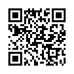 T38167-01-0 QRCode