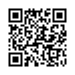 T38167-10-0 QRCode