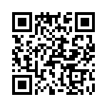 T38173-07-0 QRCode