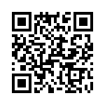 T38178-16-0 QRCode