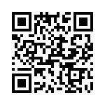 T38213-01-0 QRCode