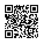 T38213-09-0 QRCode