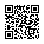 T38223-04-0 QRCode