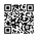 T38230-05-0 QRCode