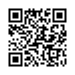 T38262-16-0 QRCode