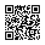 T38262-17-0 QRCode