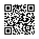 T38263-02-0 QRCode