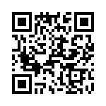 T38310-11-0 QRCode