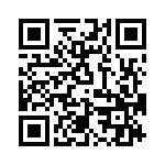 T38313-04-0 QRCode