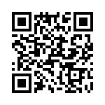 T38322-04-0 QRCode