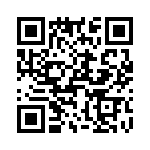 T38325-03-0 QRCode