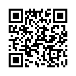 T38332-13-0 QRCode