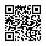 T38333-01-0 QRCode