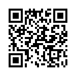 T38333-03-0 QRCode