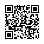 T38337-13-0 QRCode