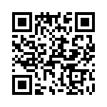 T38338-13-0 QRCode