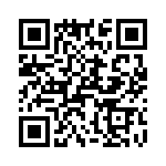 T38360-08-0 QRCode