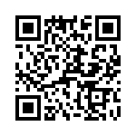 T38363-10-0 QRCode