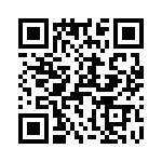 T38363-13-0 QRCode