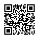 T38410-11-0 QRCode