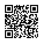 T38413-09-0 QRCode