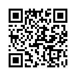 T38413-10-0 QRCode