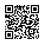 T38420-17-0 QRCode