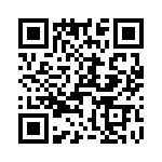 T38425-10-0 QRCode