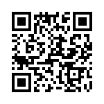 T38427-13-0 QRCode