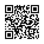 T38428-01-0 QRCode