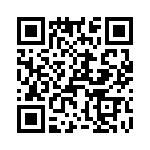 T38428-10-0 QRCode