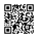 T38428-13-0 QRCode