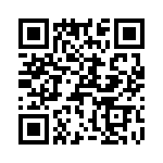 T38431-24-0 QRCode