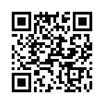 T38432-24-0 QRCode