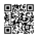 T38433-03-0 QRCode