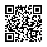 T38437-13-0 QRCode