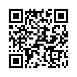 T38438-25-0 QRCode