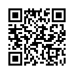 T38442-03-0 QRCode