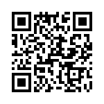 T38461-16-0 QRCode