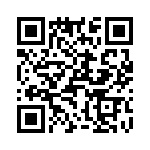 T38462-06-0 QRCode